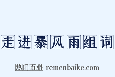 走进暴风雨组词是什么意思的图片